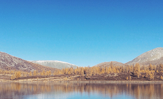 免費寶寶起名大全