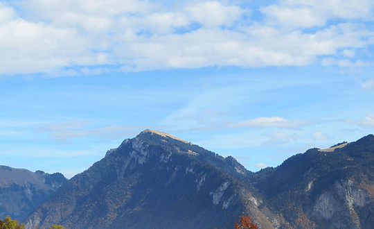 八月出生小名男孩洋氣點(diǎn)的