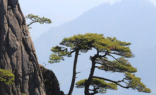 獨(dú)特好聽(tīng)的男孩女孩名字精選：取名思路和方式