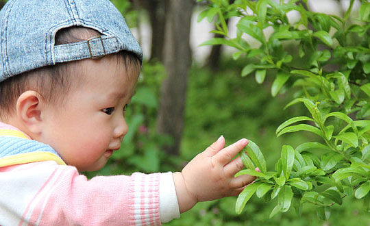 免費(fèi)取名 為寶寶取好聽的乳名