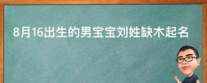 起名字2021年8月16出生的男寶寶劉姓缺木起名