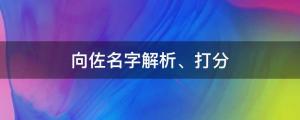 向佐被拍與美女約會，向佐名字解析、打分