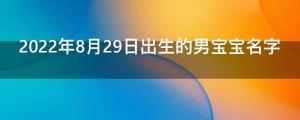 2022年8月29日出生的男寶寶名字 叫什么名好聽又吉利