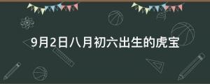 2022年9月2日八月初六出生的虎寶喜用屬性