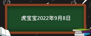 虎寶寶2022年9月8日八月初十三出生